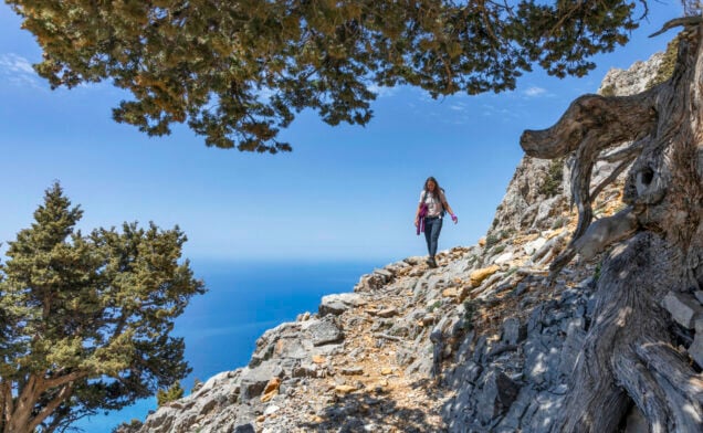 Une personne marche le long d'un sentier de montagne rocheux à Crète, surplombant l'océan et entouré d'arbres, d'un ciel bleu clair et de l'essence de la gastronomie locale. - Karavaniers
