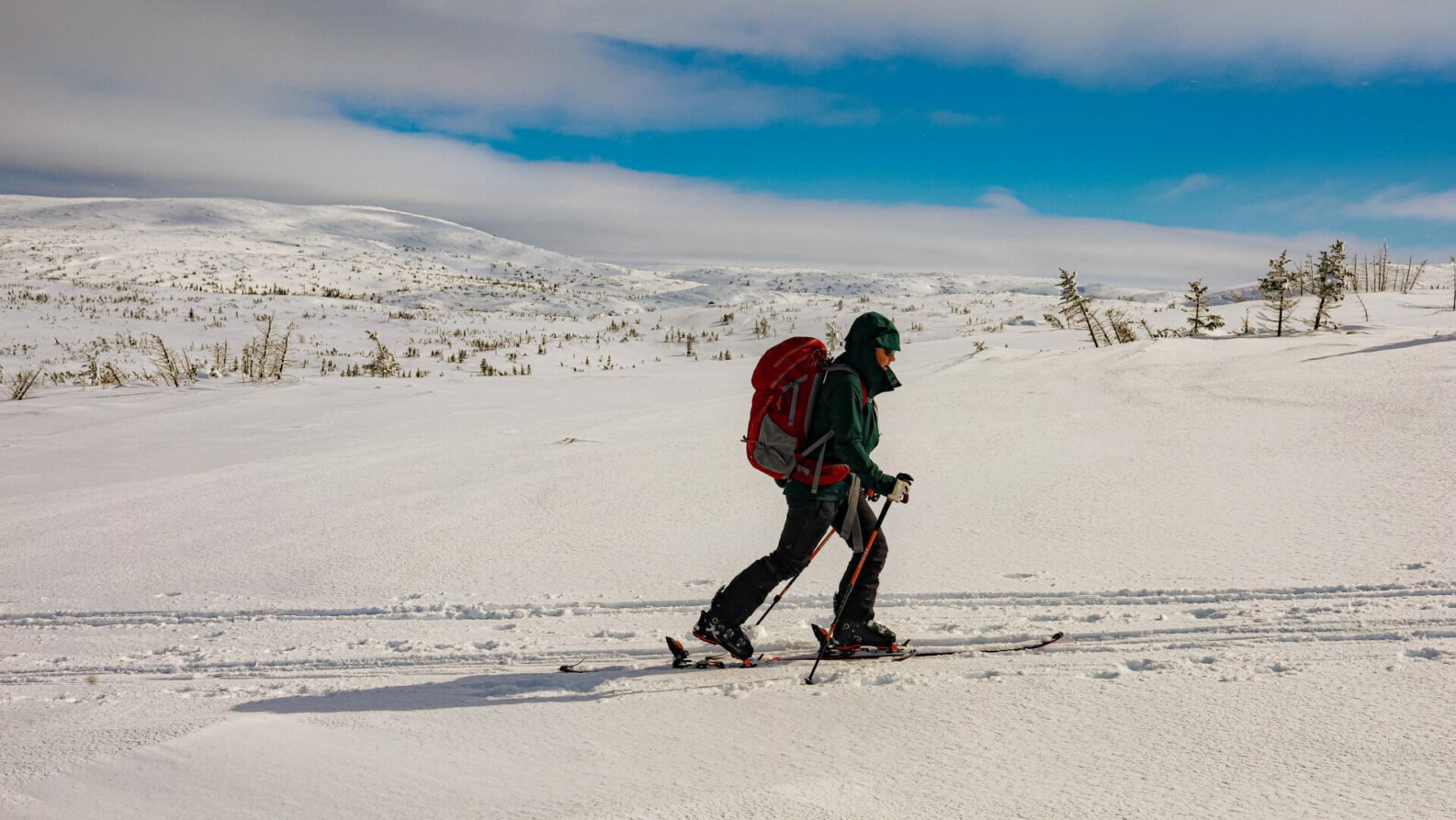 Skieur solitaire progressant sur les plateaux enneigés du massif Uapishka