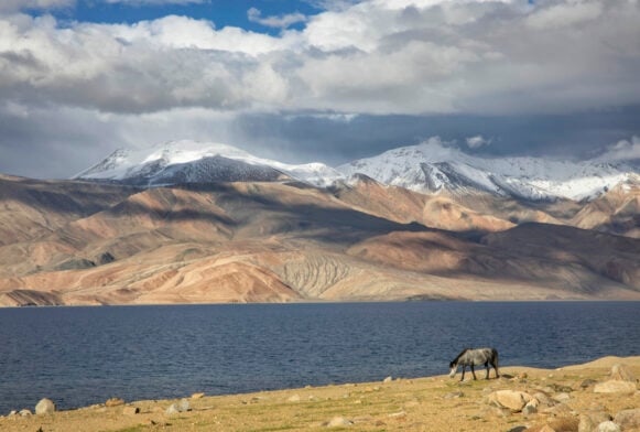 Voyage de Trek au Ladakh en hiver avec Karavaniers. Circuit de randonnée et de trek en petit groupe.
