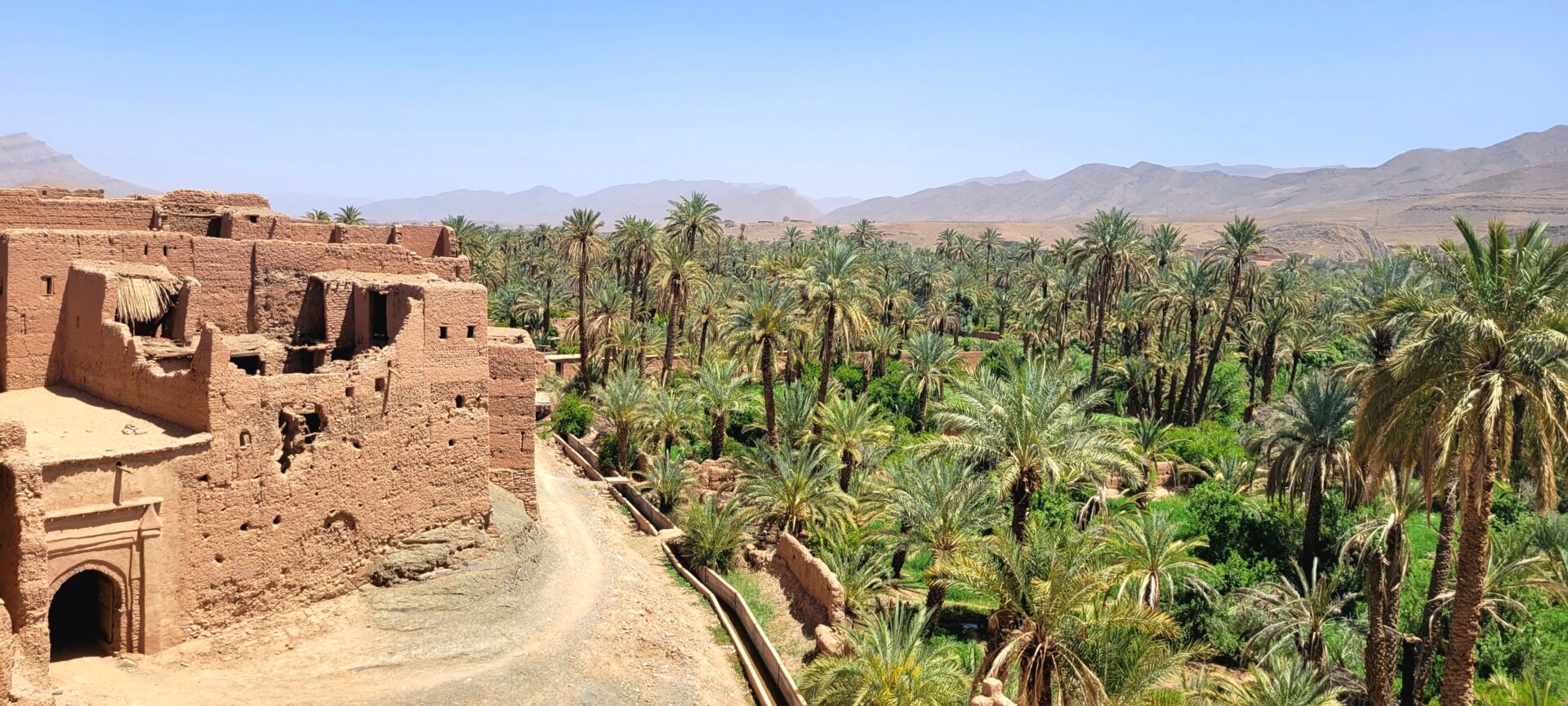 Une scène éclairée par le soleil montre un vieux bâtiment en briques de terre couleur sable sur la gauche et une oasis verdoyante remplie de palmiers - une invitation à l'aventure dans le désert - qui s'étend jusqu'à des montagnes brunes lointaines sous un ciel bleu limpide. - Karavaniers