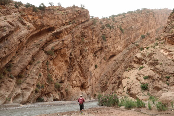 Randonneuse dans un canyon ocre aux parois abruptes, typique du Maroc
