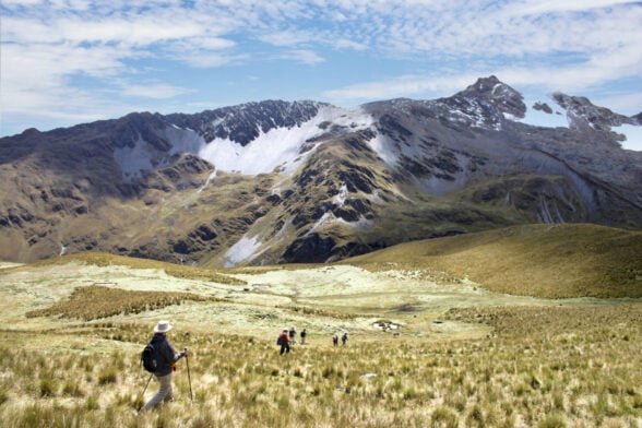Sentier d'altitude entre prairies d'altiplano et sommets andins
