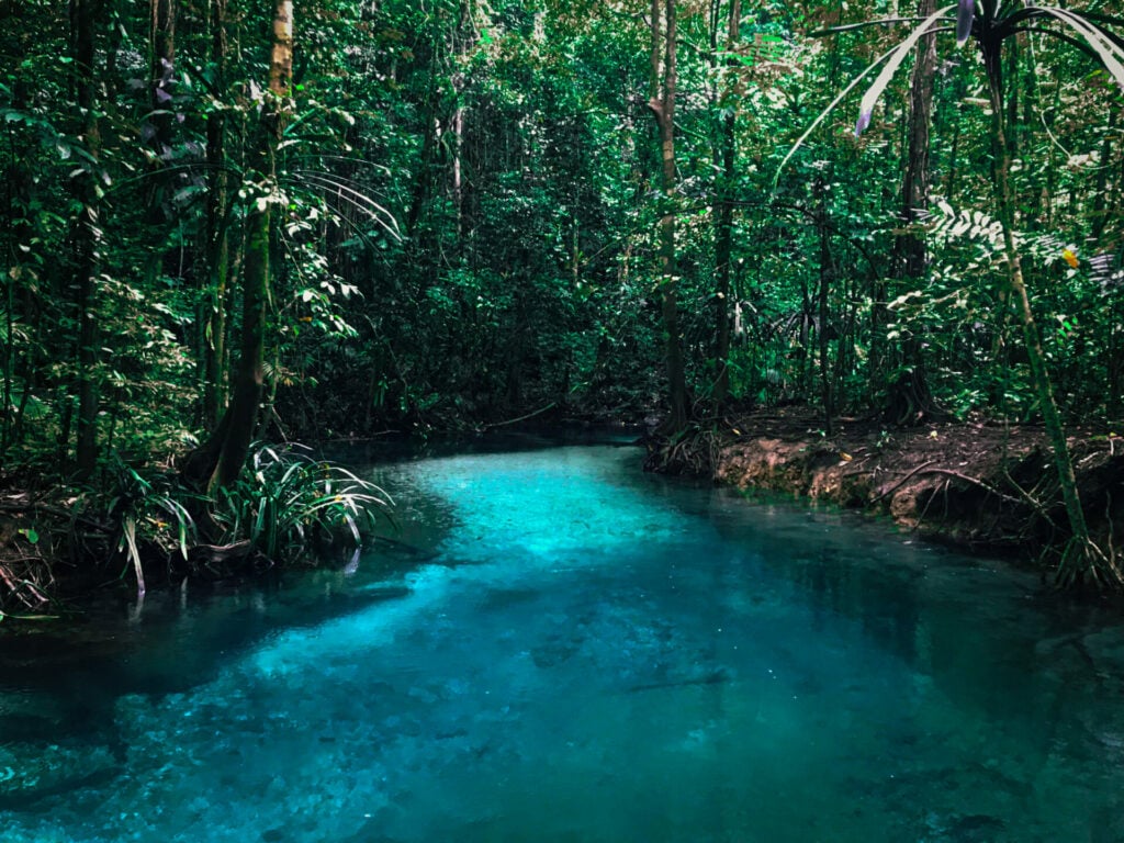 Lagune bleu turquoise nichée entre jungle luxuriante et mangroves.