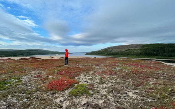 Randonneur sur la toundra colorée du Nunavik au Québec, voyage d’aventure nordique avec Karavaniers