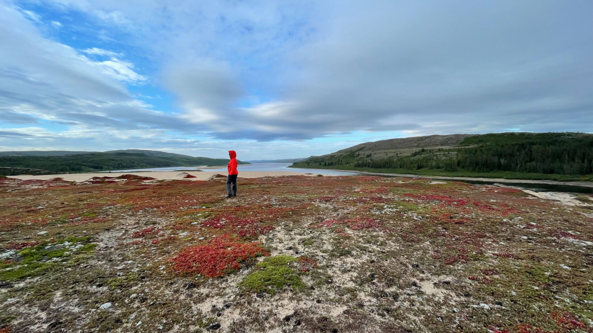Randonneur sur la toundra colorée du Nunavik au Québec, voyage d’aventure nordique avec Karavaniers