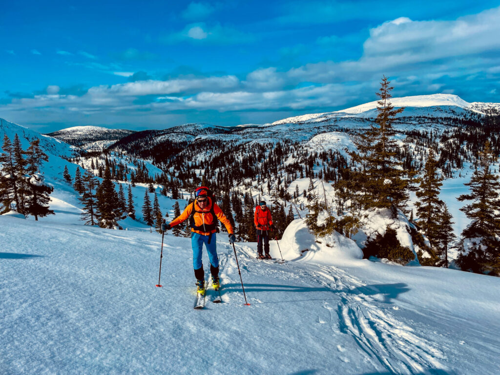 Deux personnes montent à ski les montagnes enneigées de l'Uapishka (monts Groulx), se faufilant entre les arbres épars sous un ciel bleu partiellement nuageux. Le skieur de tête porte une veste orange vif, sac à dos à la main, et les sommets enneigés s'élèvent au loin. - Karavaniers