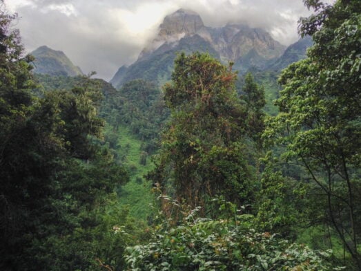 Forêt verte dense avec de grands arbres au premier plan, de la brume couvrant les sommets des montagnes lointaines et de lourds nuages au-dessus de la tête. Le paysage montagneux et luxuriant semble intact et abrite peut-être même des primates insaisissables cachés dans la verdure. - Karavaniers