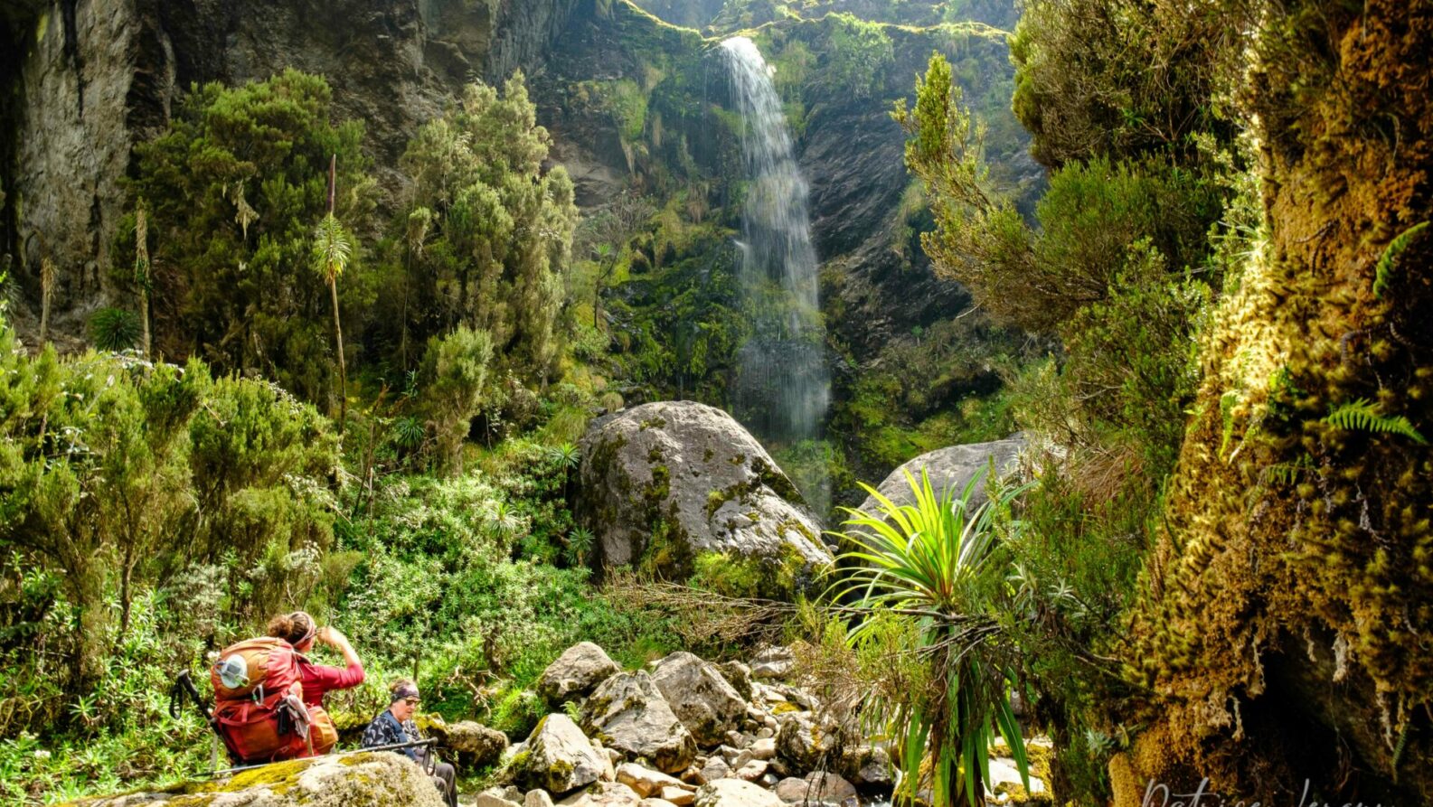 Sentier menant à une cascade dans la jungle de Madagascar, trek nature avec Karavaniers