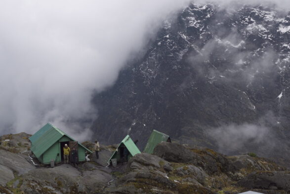 Campement en tentes vertes sur un sommet brumeux en Ouganda, expédition en montagne.