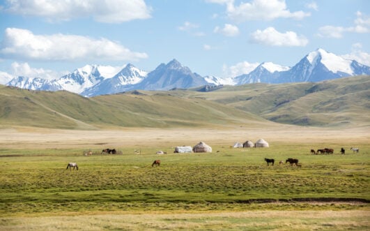 Steppes du Kirghizistan avec des yourtes traditionnelles et chevaux, montagnes enneigées en arrière-plan.