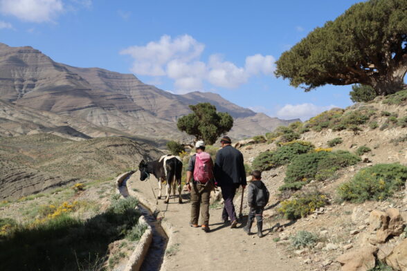 Marche en famille sur un sentier bordé d’arbres et de montagnes.