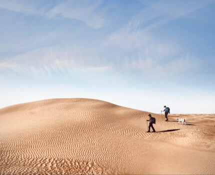 Marcheurs sur les dunes ondulantes du désert marocain, sous un ciel limpide