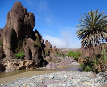 Paysage rocheux spectaculaire de la vallée d’Amassine, Maroc, avec palmiers, rivière et formations volcaniques uniques.