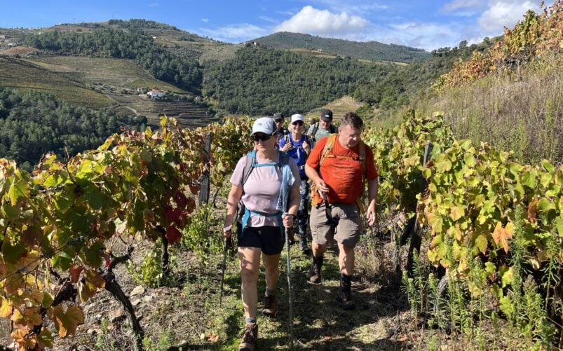 Randonneurs marchant entre les rangées de vignes au Portugal.