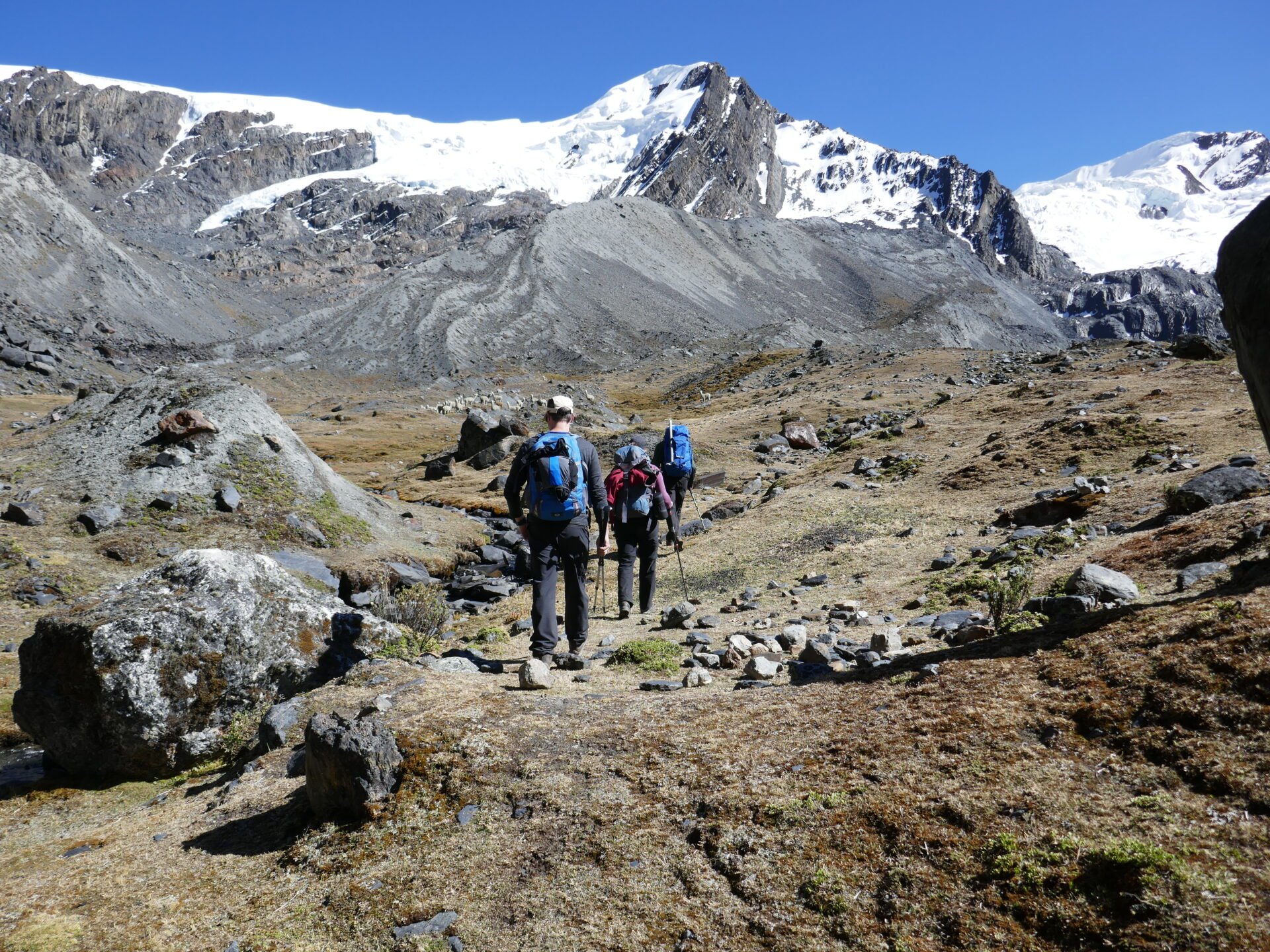 Trekkeurs marchant sur un sentier de haute montagne en Bolivie, entourés de rochers et de sommets enneigés sous un ciel parfaitement dégagé. Demander à ChatGPT 