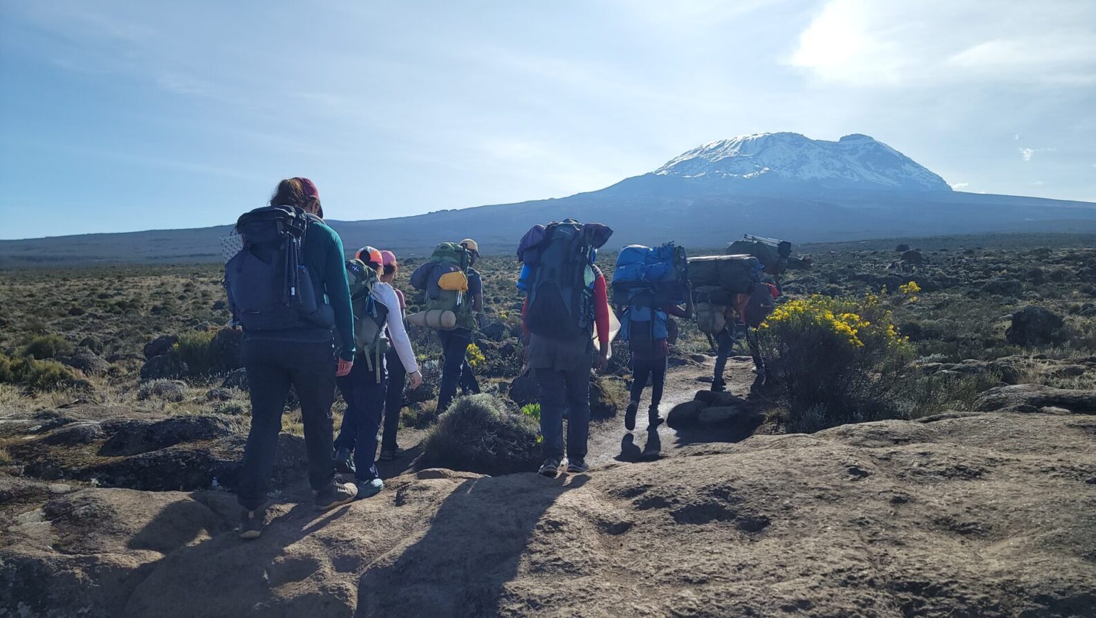Groupe de randonneurs progressant sur les plateaux herbeux du Kilimandjaro avec la montagne enneigée en arrière-plan, sous un ciel clair.