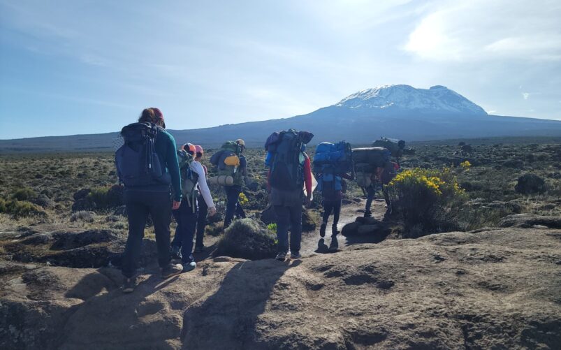 Groupe de randonneurs progressant sur les plateaux herbeux du Kilimandjaro avec la montagne enneigée en arrière-plan, sous un ciel clair.