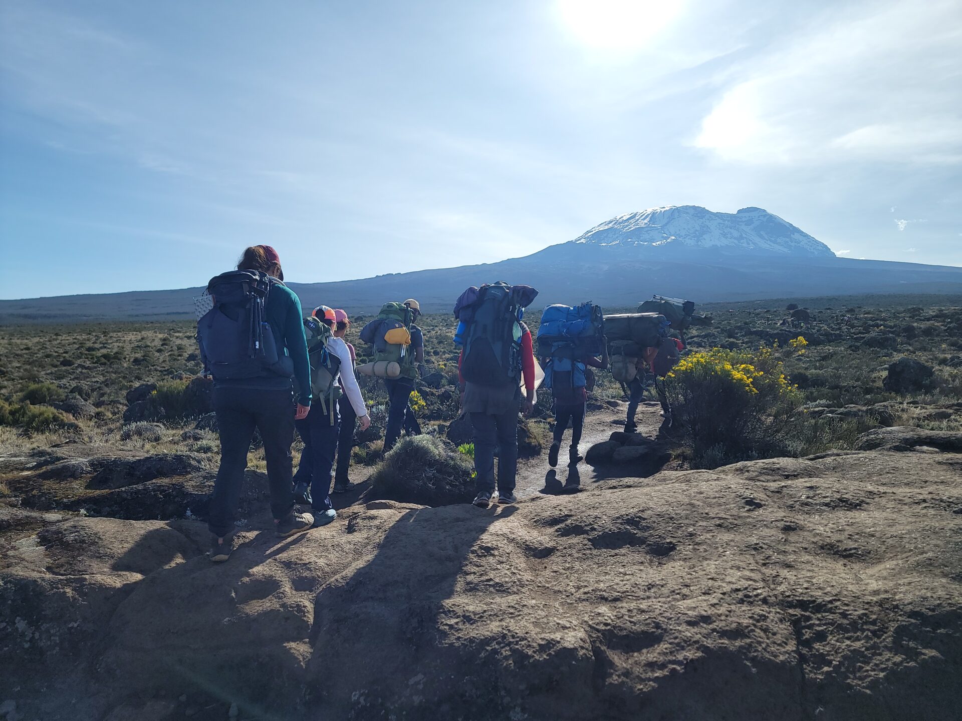 Groupe de randonneurs progressant sur les plateaux herbeux du Kilimandjaro avec la montagne enneigée en arrière-plan, sous un ciel clair.