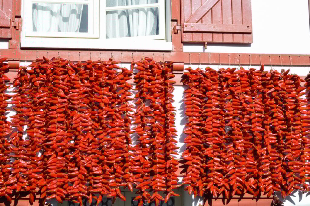 Des piments rouge vif sont suspendus en grappes à l'extérieur, sur un mur blanc, sous des fenêtres fermées aux volets rouges, évoquant le charme vibrant d'un trek dans les pays basques. - Karavaniers