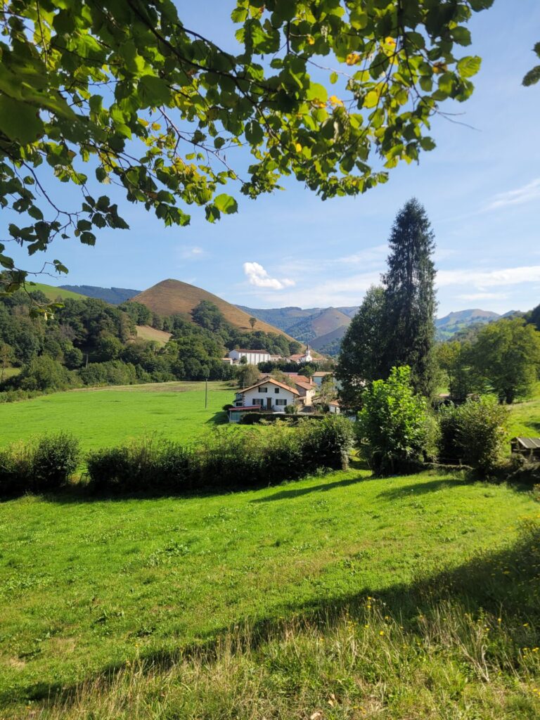 Une scène de campagne avec des champs verdoyants, quelques maisons, des arbres, des collines lointaines et un ciel bleu avec quelques nuages - parfait pour un Trek dans les pays basques. Des branches avec des feuilles vertes encadrent le haut de l'image. - Karavaniers