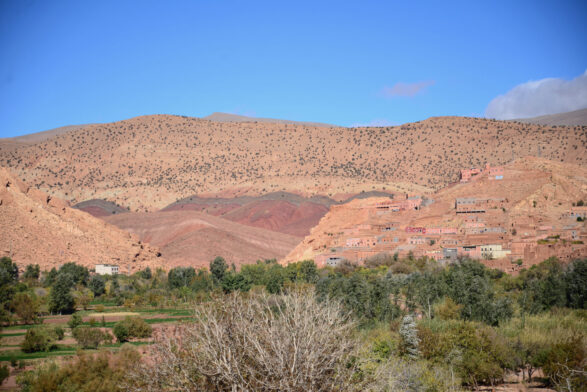 Un paysage d'un voyage au Monténégro montre une colline sèche et rocheuse avec des arbustes épars et des groupes de bâtiments le long des pentes. Une végétation luxuriante et des arbres occupent le premier plan sous un ciel bleu clair. - Karavaniers