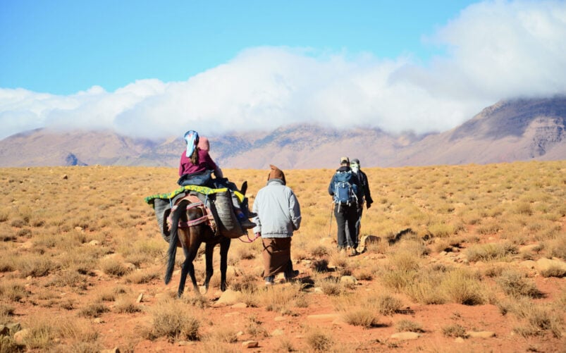 Au cours de leur voyage au Monténégro, quatre voyageurs traversent un paysage sec et herbeux, l'un monté sur un âne, les autres marchant avec des sacs à dos. Des montagnes majestueuses et des nuages s'élèvent à l'arrière-plan sous un ciel bleu clair. - Karavaniers