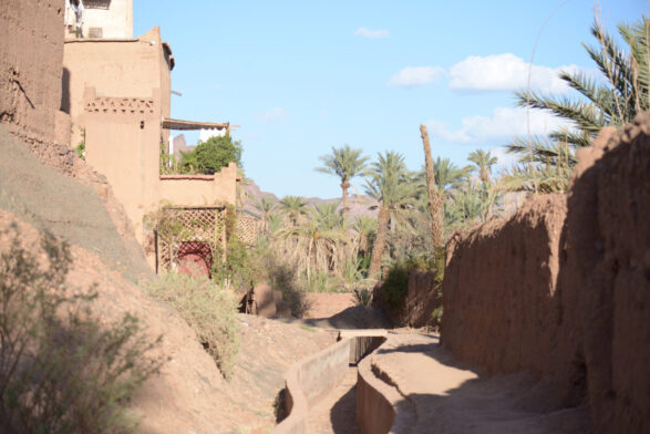 Un étroit chemin de terre court entre les murs d'adobe et les bâtiments, avec des palmiers et de la verdure en arrière-plan sous un ciel bleu clair - une scène qui rappelle un voyage tranquille au Monténégro. - Karavaniers