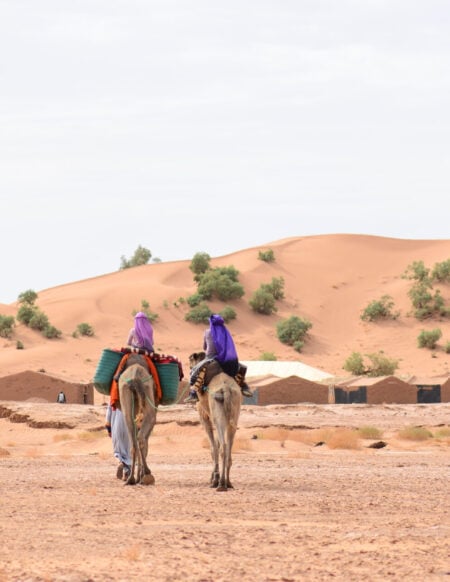 Deux personnes portant un couvre-chef violet traversent à dos de chameau un paysage sablonneux et semi-aride, évoquant l'esprit d'un voyage au Monténégro, en direction de bâtiments lointains encadrés par des dunes de sable et une végétation clairsemée. - Karavaniers
