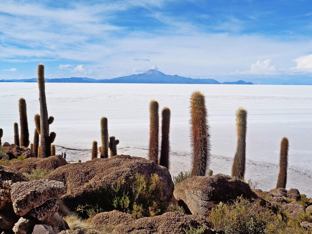 De grands cactus poussent parmi les rochers au premier plan, tandis qu'une vaste étendue de sel blanc s'étend au loin et que des montagnes sont visibles sous un ciel bleu parsemé de nuages. - Karavaniers
