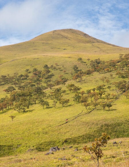 Une colline herbeuse avec de petits arbres éparpillés sur son versant, sous un ciel bleu partiellement nuageux, offre le cadre parfait pour un voyage non guidé - un paysage ouvert et légèrement vallonné invitant à la découverte personnelle. - Karavaniers