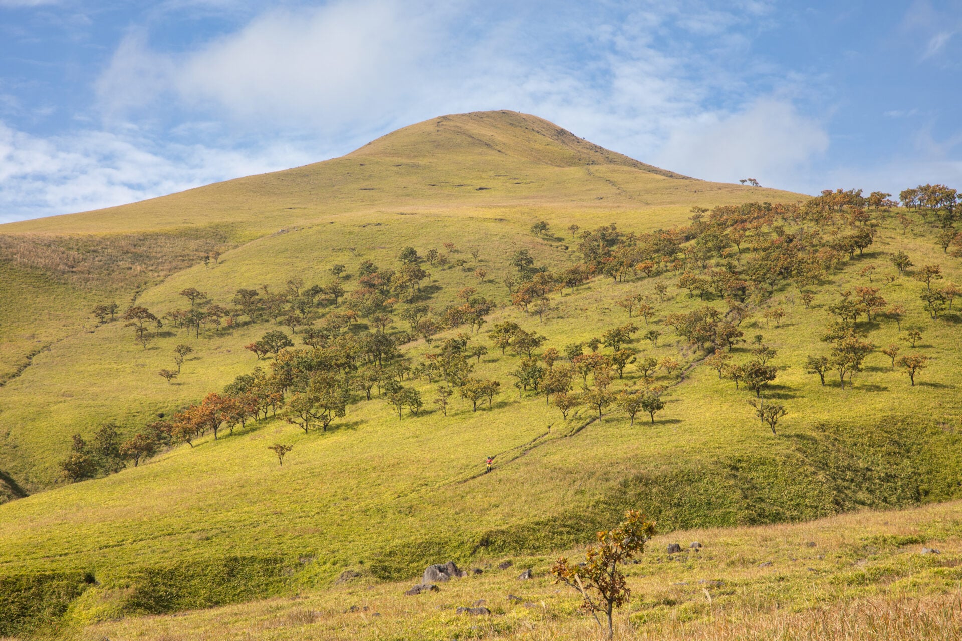 Une colline herbeuse avec de petits arbres éparpillés sur son versant, sous un ciel bleu partiellement nuageux, offre le cadre parfait pour un voyage non guidé - un paysage ouvert et légèrement vallonné invitant à la découverte personnelle. - Karavaniers