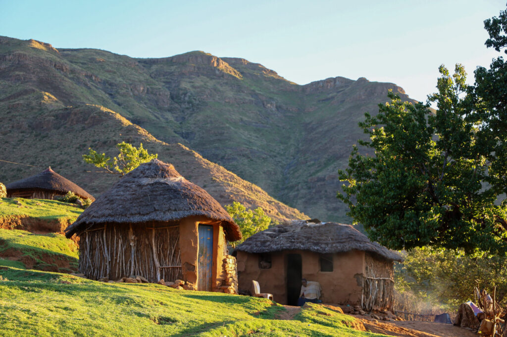 Deux huttes traditionnelles rondes au toit de chaume sont posées sur un terrain herbeux, avec des montagnes en arrière-plan et un arbre à proximité, éclairé par une lumière dorée - une scène invitante le long d'un trek en Afrique du Sud. - Karavaniers