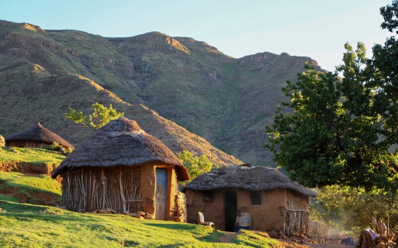 Deux huttes traditionnelles rondes au toit de chaume sont posées sur un terrain herbeux, avec des montagnes en arrière-plan et un arbre à proximité, éclairé par une lumière dorée - une scène invitante le long d'un trek en Afrique du Sud. - Karavaniers