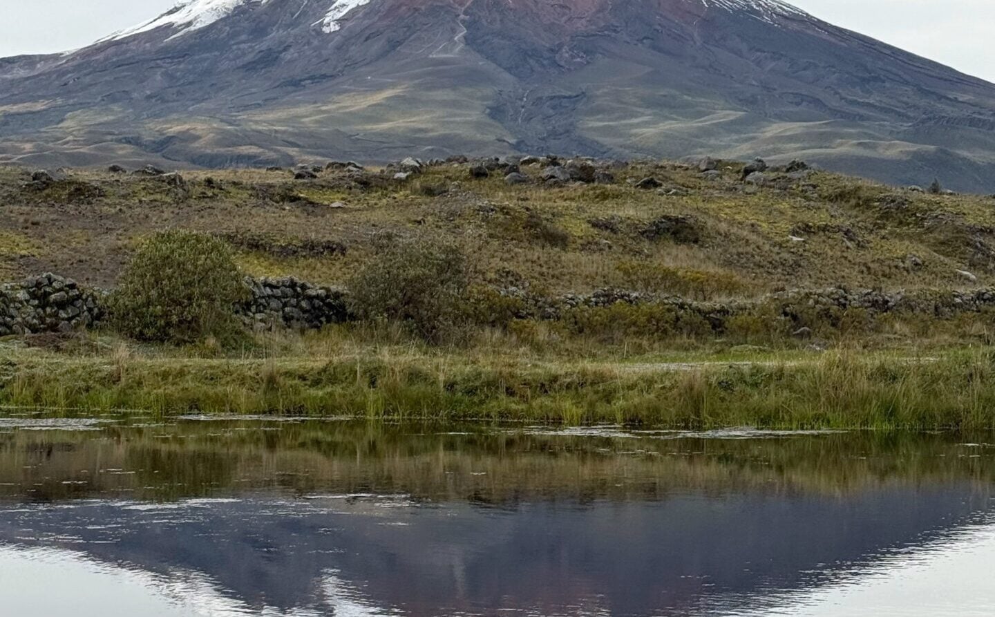 Une montagne enneigée s'élève au loin, ses pentes inférieures étant couvertes d'un terrain sombre et vert. La montagne et le ciel nuageux se reflètent clairement dans une étendue d'eau calme au premier plan. - Karavaniers