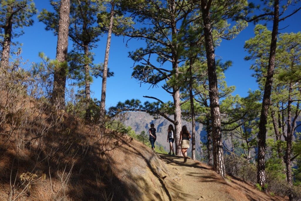 Trois personnes marchent sur un sentier de randonnée en terre bordé de pins à flanc de colline, sous un ciel bleu clair, les montagnes lointaines étant visibles à travers les arbres. - Karavaniers