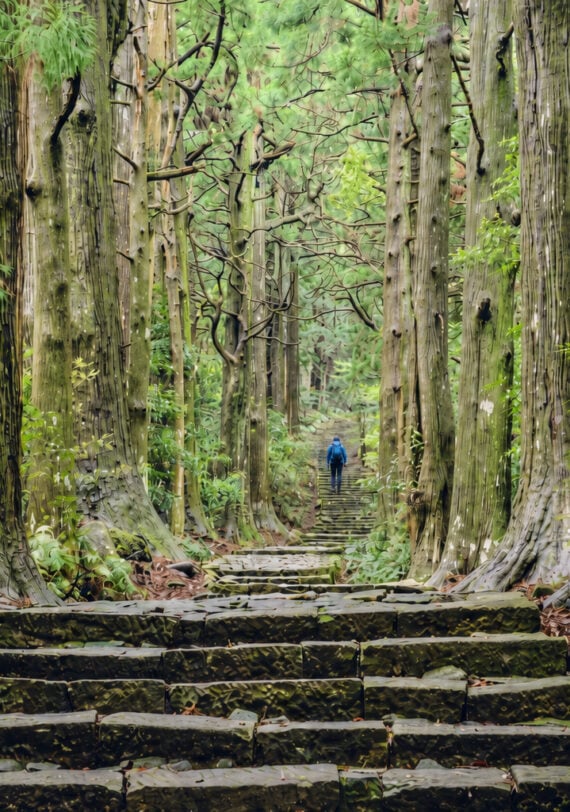Un chemin de pierre aux marches inégales traverse une forêt dense de grands arbres, évoquant l'esprit d'une randonnée Kumano Kodo au Japon. Une personne vêtue d'une veste bleue marche seule, entourée d'une végétation luxuriante et d'une lumière naturelle diffuse. - Karavaniers