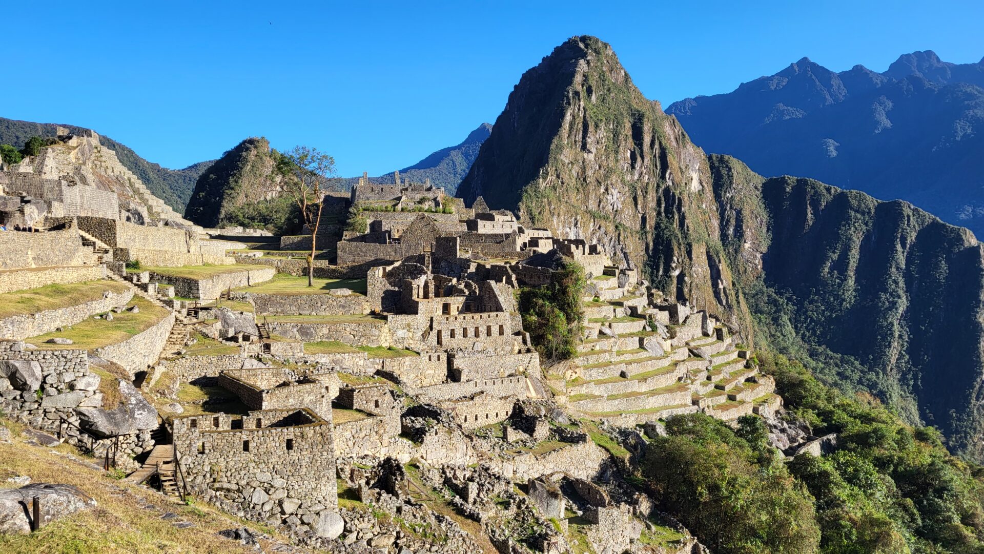 Vue sur le Machu Picchu, une ancienne citadelle inca située au Pérou, avec ses constructions en pierre, ses terrasses et ses montagnes verdoyantes sous un ciel bleu limpide : un site à couper le souffle, idéal pour toute conférence sur l'histoire ou la culture. - Karavaniers