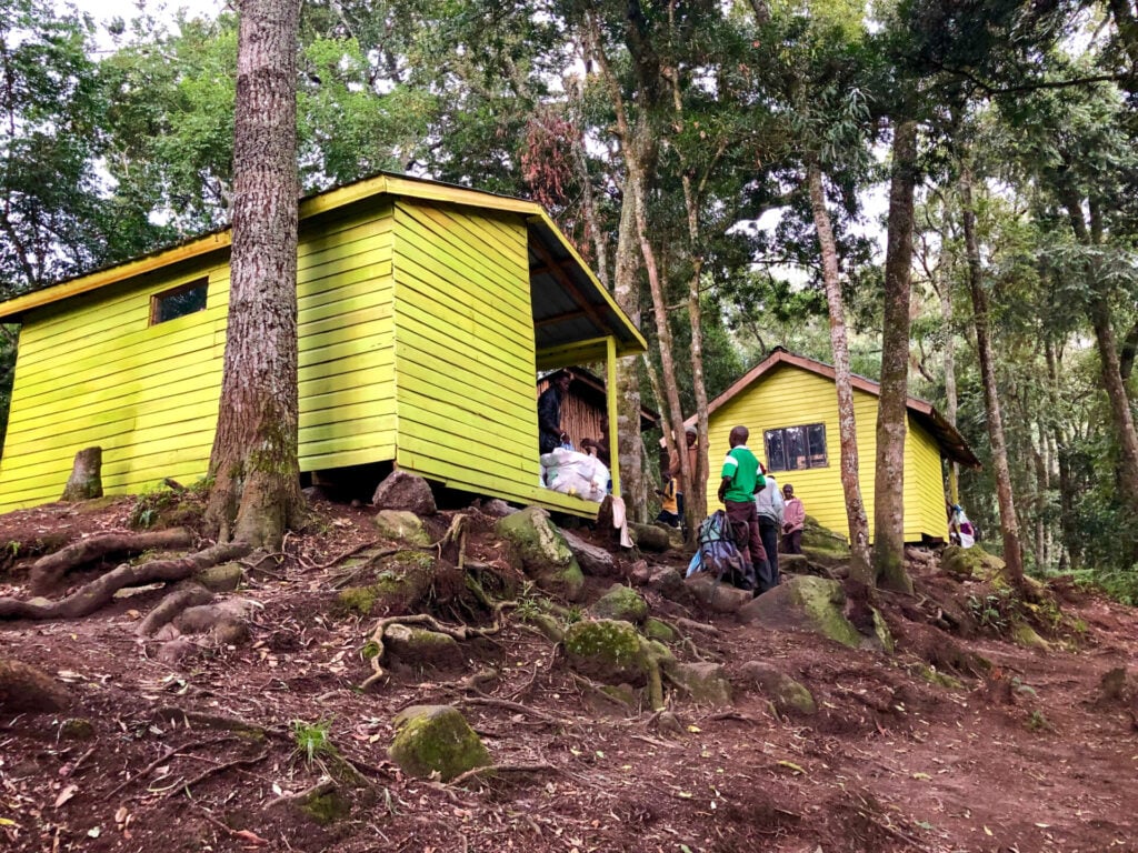 Deux petites cabanes en bois jaune sont situées sur une colline boisée avec des racines d'arbres visibles. Plusieurs personnes portant des sacs à dos sont rassemblées près d'une des cabanes. La zone est entourée de grands arbres et de feuillage vert. - Karavaniers