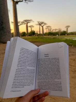 Une main tient ouvert un livre écrit en français, sur lequel figurent des baobabs et un chemin de terre au coucher du soleil — une scène évocatrice tirée d’un « voyage mystère » à Madagascar. La page de gauche traite des lémuriens, tandis que celle de droite décrit le baobab. - Karavaniers