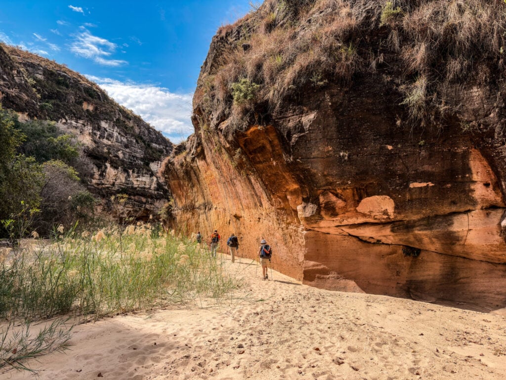 Trois personnes marchent sur un sentier sablonneux, longeant de hautes herbes et une grande paroi rocheuse escarpée, au cœur d'un canyon désertique. Le ciel est partiellement nuageux, et le paysage est entouré de falaises rocheuses et d'une végétation aride. - Karavaniers