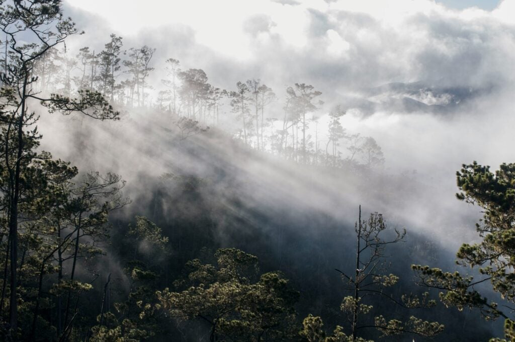 La lumière du soleil perce à travers le brouillard sur un versant boisé lors d'une randonnée en République Dominicaine. - Karavaniers