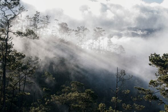 La lumière du soleil perce à travers le brouillard sur un versant boisé lors d'une randonnée en République Dominicaine. - Karavaniers